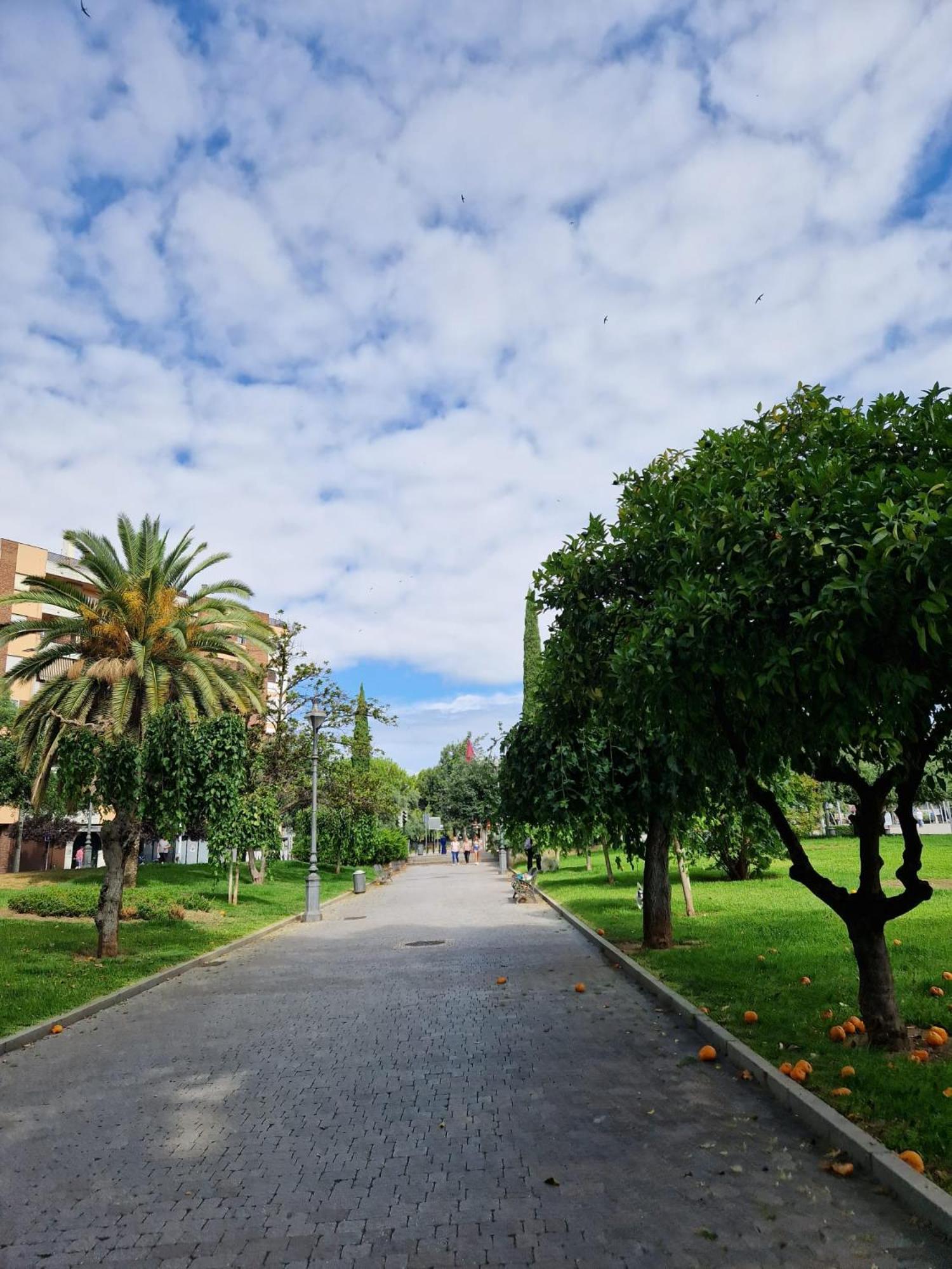 Salusahome Parking Gratuito Córdoba Buitenkant foto
